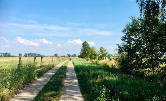 Radlerin auf einem Weg entlang einer abgezäunten Weide in der Region Neuruppin